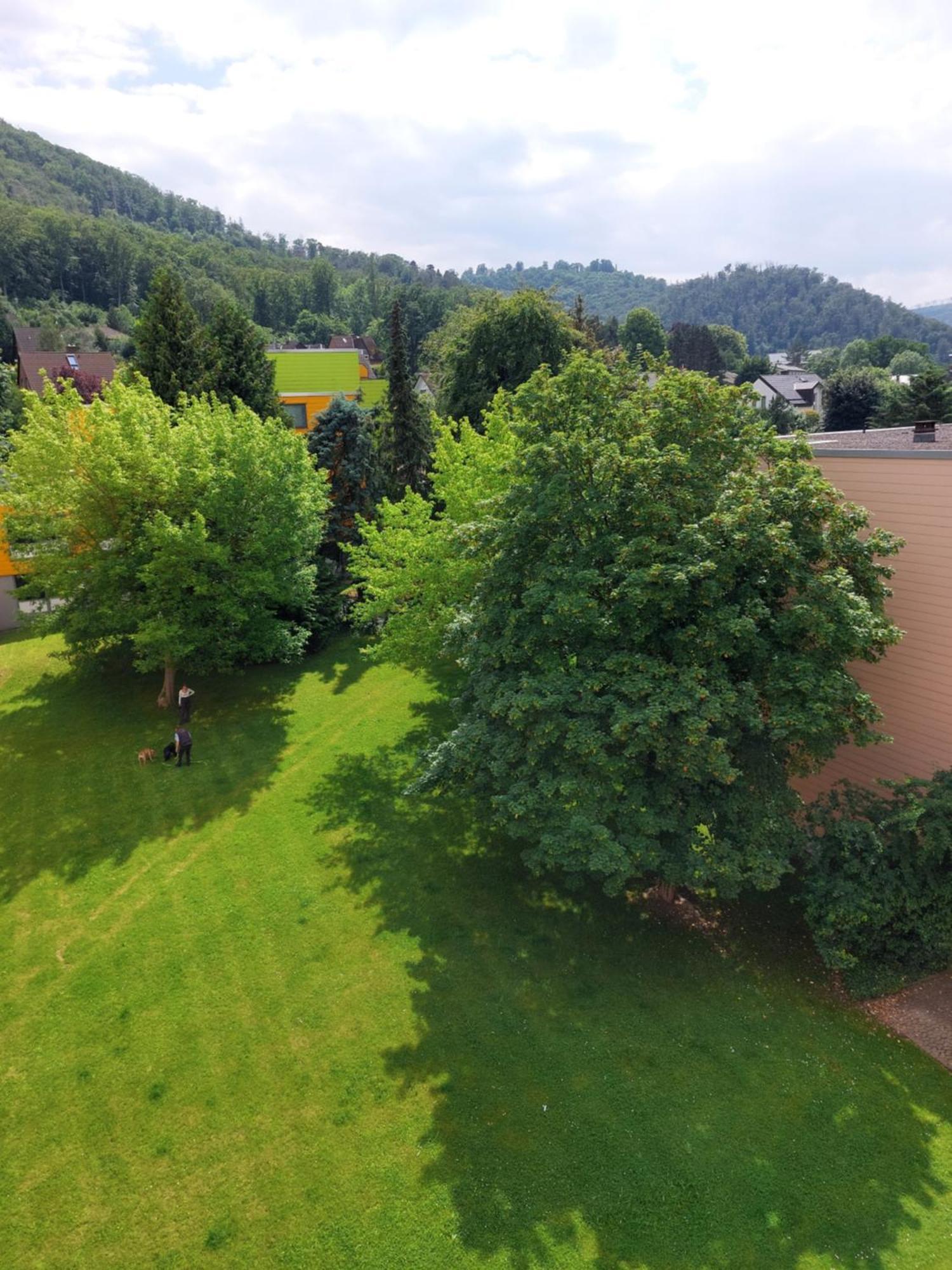 Burgberg-Blick Apartment บัดฮาร์ซบวร์ก ภายนอก รูปภาพ